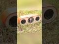 Amazing Pvc pipe Bluetooth Speaker Making #ayanrr3 #diy #shorts