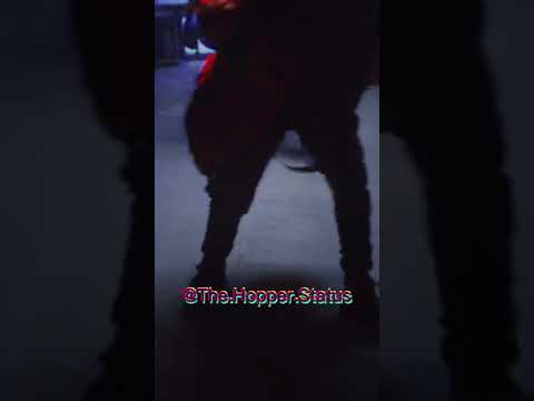 دورك جاي لويجز