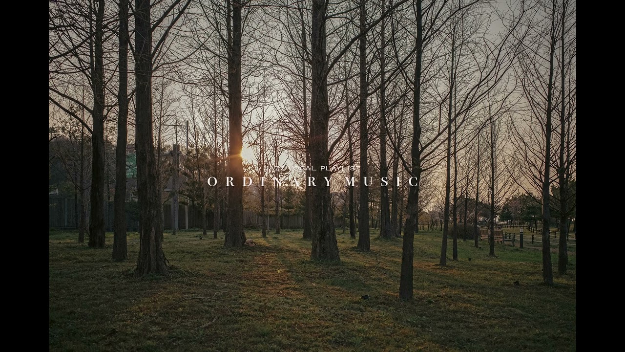 [playlist] 고요한 도시의 숲을 걸었다. 가을의 시작이었다