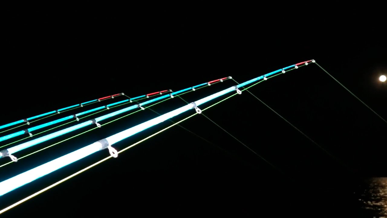 ГЛАЗ НЕ СОМКНУТЬ! ПОКЛЁВКИ ТО ЧТО НАДО! РЫБАЛКА НА ДОНКИ И ЛОВЛЯ СОМА НА КВОК