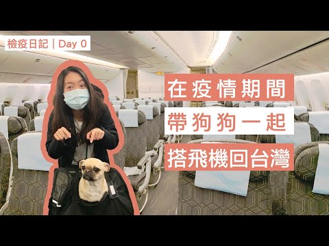檢疫日記｜Day 0｜回台灣過年、美國搭機全記錄、帶狗狗用ESA第一次坐飛機、準備開始居家檢疫14+7天！ Flying with an ESA Dog