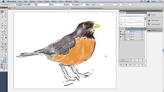 Mastering Brushes in Illustrator: Introduction