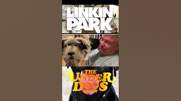 #dogs #dogshorts #puppet #dogcomedy #underdogsshow