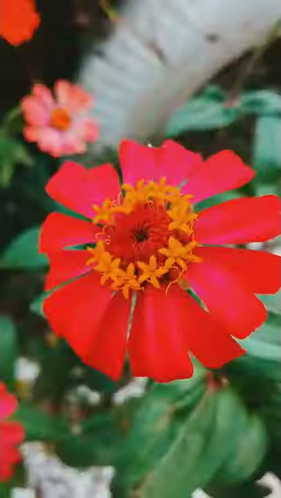 STORY WA AESTHETIC YANG BIKIN PUSING KEPALA (PART15)