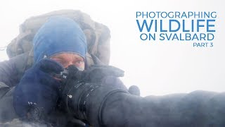 Wildlife Photography on Svalbard part 3 | Behind the scenes, reindeer, wooden cabin, Nikon D5, snow