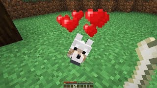 All your minecraft happiness in one video...