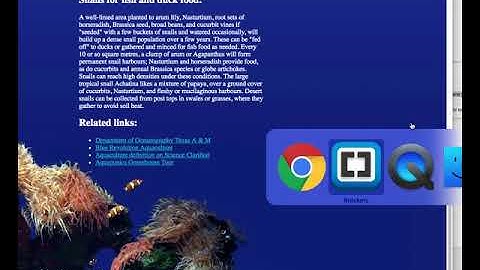 Week 8 Review: Fish #5: colors continued: installing a color picker in Brackets