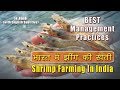Sustaining the Aquaculture : Vannamei Shrimps Farming  | झींगे की खेती | Nuteq Entertainment