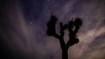 2019 Joshua Tree Astro Timelapse