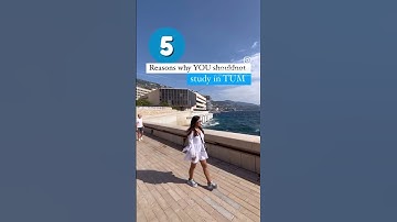 Why you should not study in TUM #tum #studyingermany #studymastersingermany #ytshorts