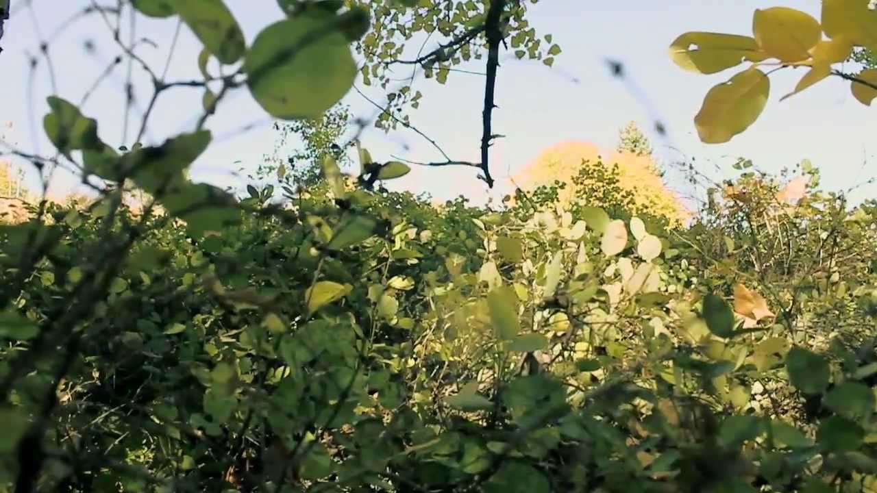 1969 : a Recreation of The Beatles ["Yesterday" feat. Sherree Chamberlain & Van Risseghem)