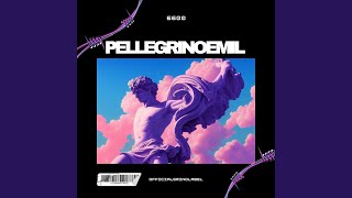 Can´t Help - Pellegrinoemil
