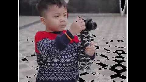 ⚡ Ccp Fateh, Muntaz, Dan Qahtan Halilintar ⚡