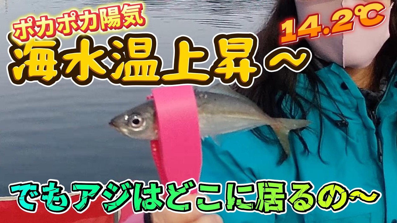 2026.2.21 海水温上昇～でもアジはどこに居るの?
