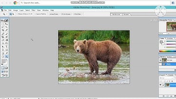 Class 8th/Chapter 6- More in Photoshop