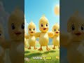 Five Little Ducks 🦆 | Cinco Patitos Song | Baby Songs & Nursery Rhymes para Niños 🎶🌟
