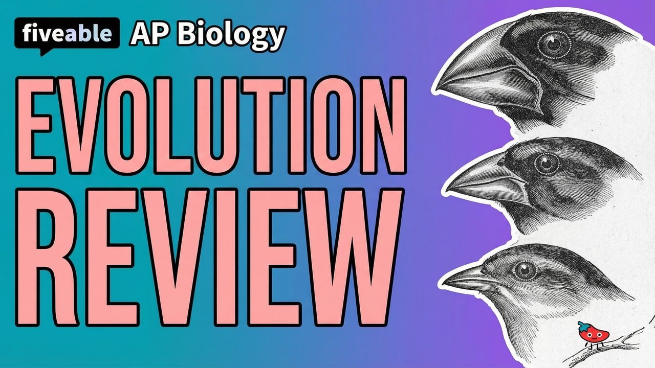 AP Biology - Evolution: Natural Selection & Speciation | Fiveable Cram ...