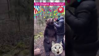 Alkışla Bal İsteyen Şirin Ayı Tatlılıkta Zirve Sweet Bear