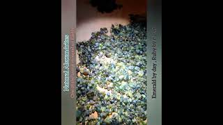 Natural Alexandrites " Emerald by day, Ruby by night "