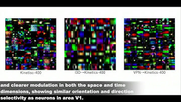 Spatiotemporal Initialization for 3D CNNs with Generated Motion Patterns