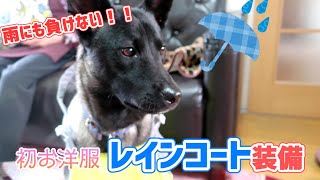 【はじめての】梅雨に備えてレインコートを装備する琥白さん【洋服】