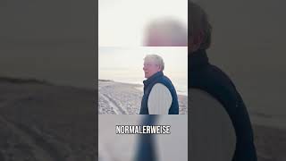 Sylt: Hundeparadies! Freier Strand, unendliche Freude für Hunde und Besitzer! #shorts