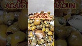 Download Lagu Begini masak keong sawah agar tidak beracun #resepmasakan #resepmakanan #keongsawah MP3