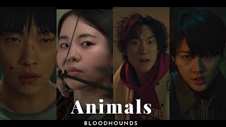 Animals | BLOODHOUNDS | Kdrama {FMV}
