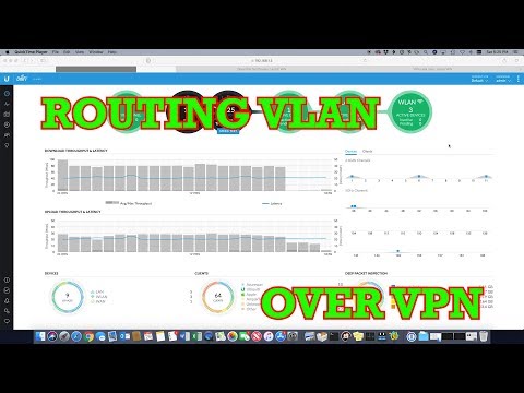 Unifi USG Route VLAN over OpenVPN Client