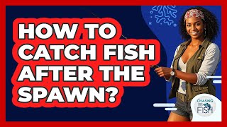 How To Catch Fish After The Spawn?