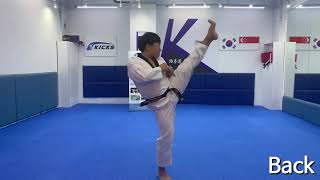 Red Tip Pattern(Taegeuk 6 Jang)