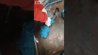 A day in our Nursery School