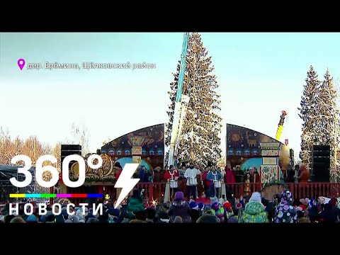 Главную ёлку страны срубили в Подмосковье