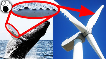 Amazing Technologies Inspired by Nature