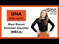 DNA Defined: Most Recent Common Ancestor (MRCA)