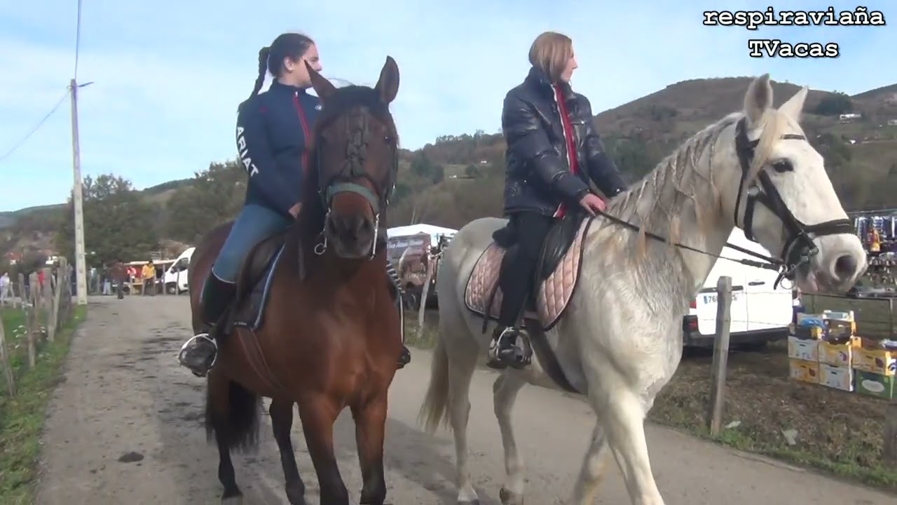 Feria de Silió 27 11 2022.