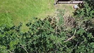 DJI 0033