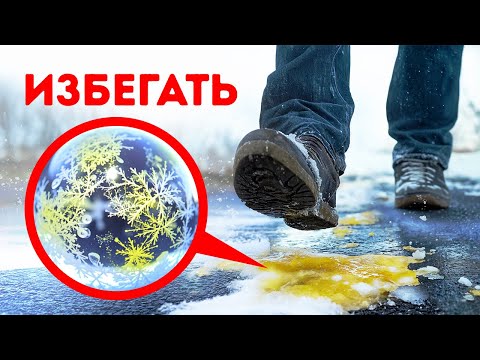 Жлтый снег  это не то, что вы думаете... это хуже!