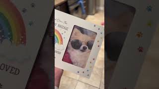 UNBOXED! The Rainbow Bridge Pet Memorial Frames Made in USA! 🇺🇸