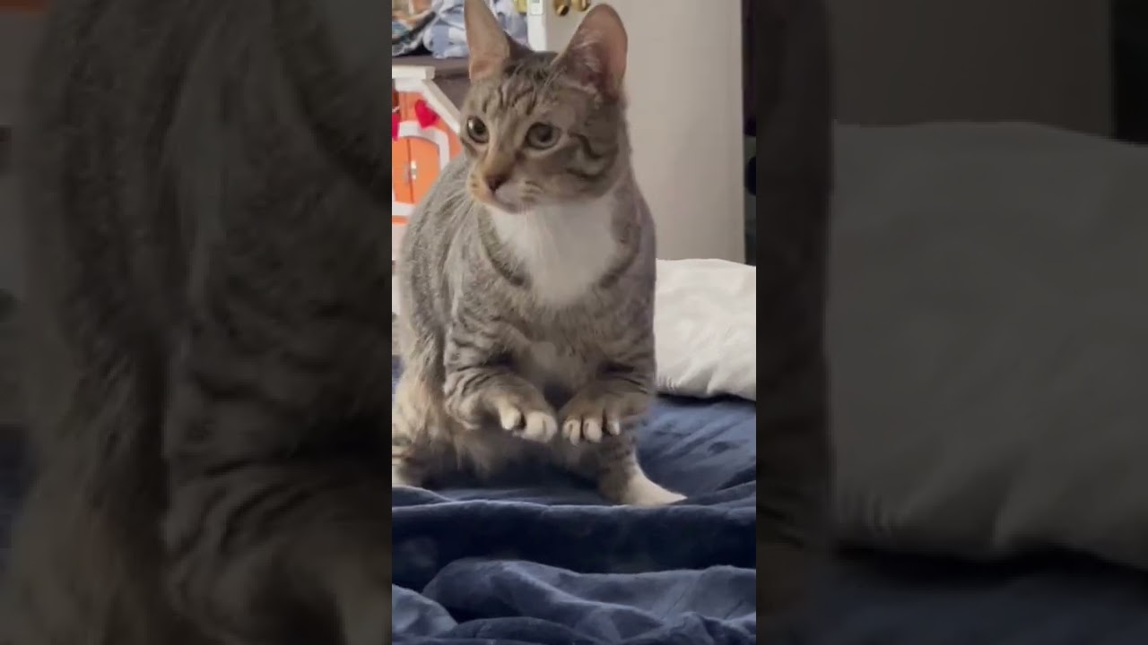 That jump ❤️ 👏 👏👏 