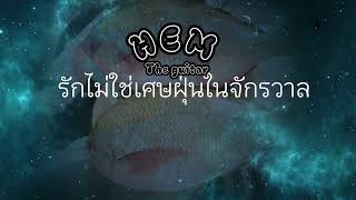 รักไม่ใช่เศษฝุ่นในจักรวาล -เหมเดอะกีต้าร์