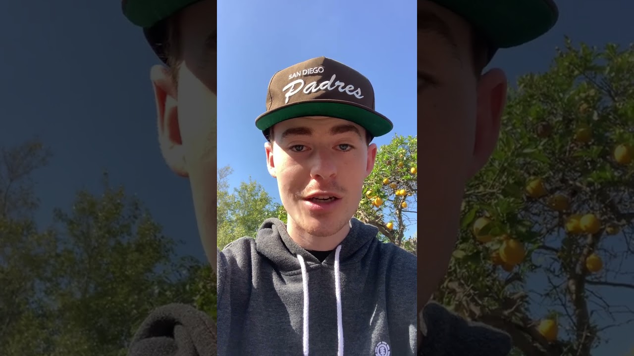 Pregame Thoughts: Padres vs. Braves + Joe Musgrove Starting Saturday!