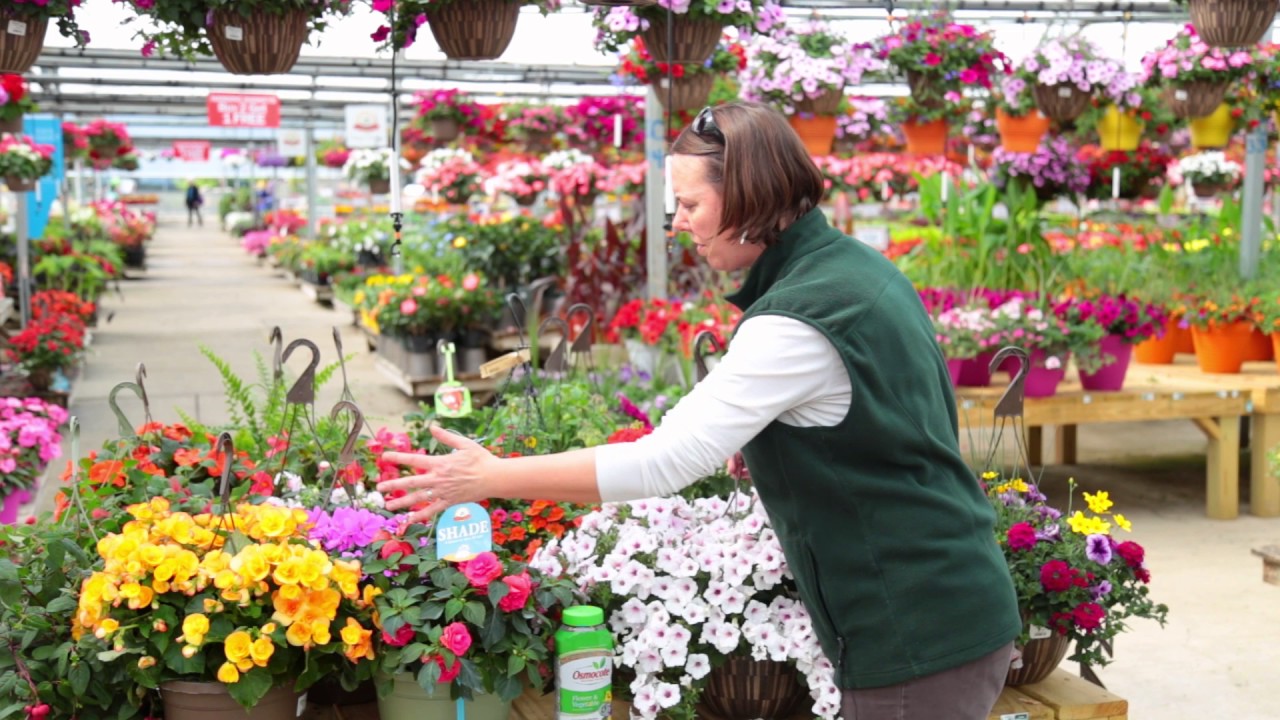 PETITTI Hanging Baskets YouTube