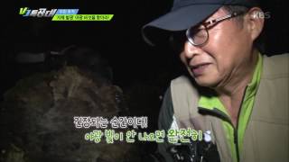 VJ 특공대 - ‘자체발광’ 야광 버섯을 찾아라!. 20160701