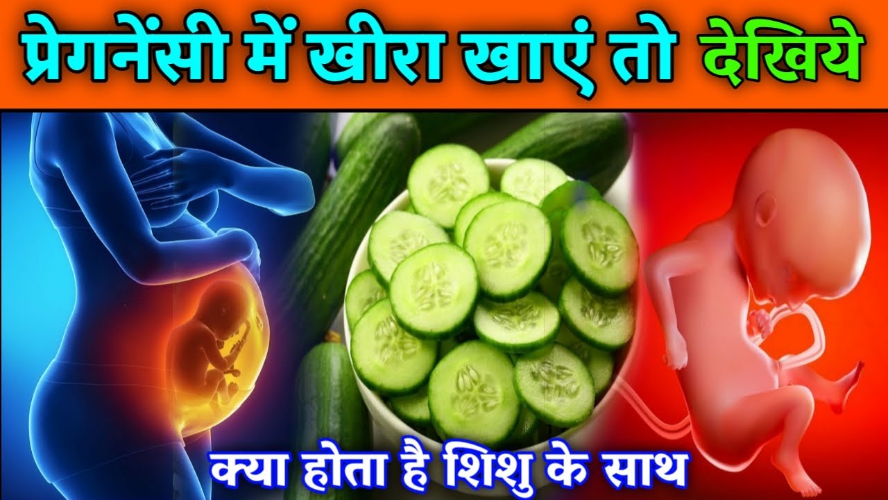 प्रेगनेंसी में खीरा खाने के फायदे Benefits of Eating Cucumber During