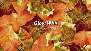 Glow Wild 2020