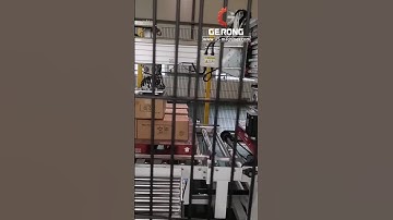 XYZ type automatic robot hand pick carton box palletizing machine running video