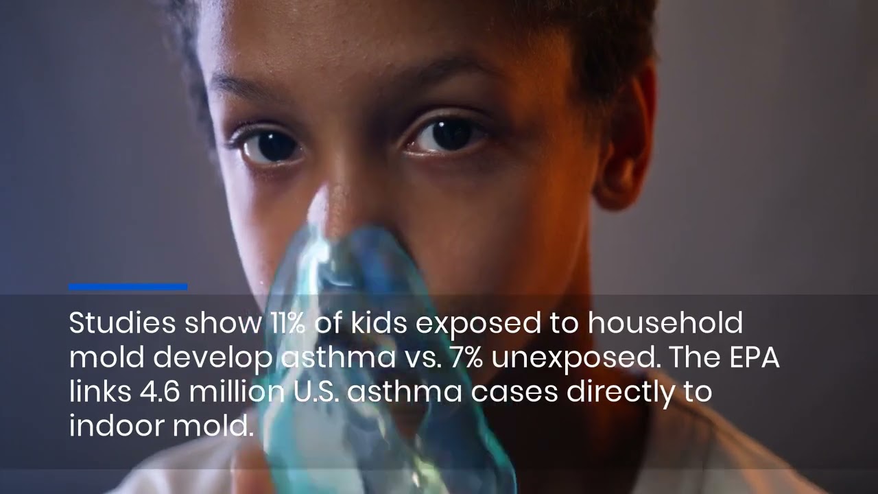 Tampa Bay Mold Inspection Pros Explain The Hidden Health Risks Lurking In Your Home