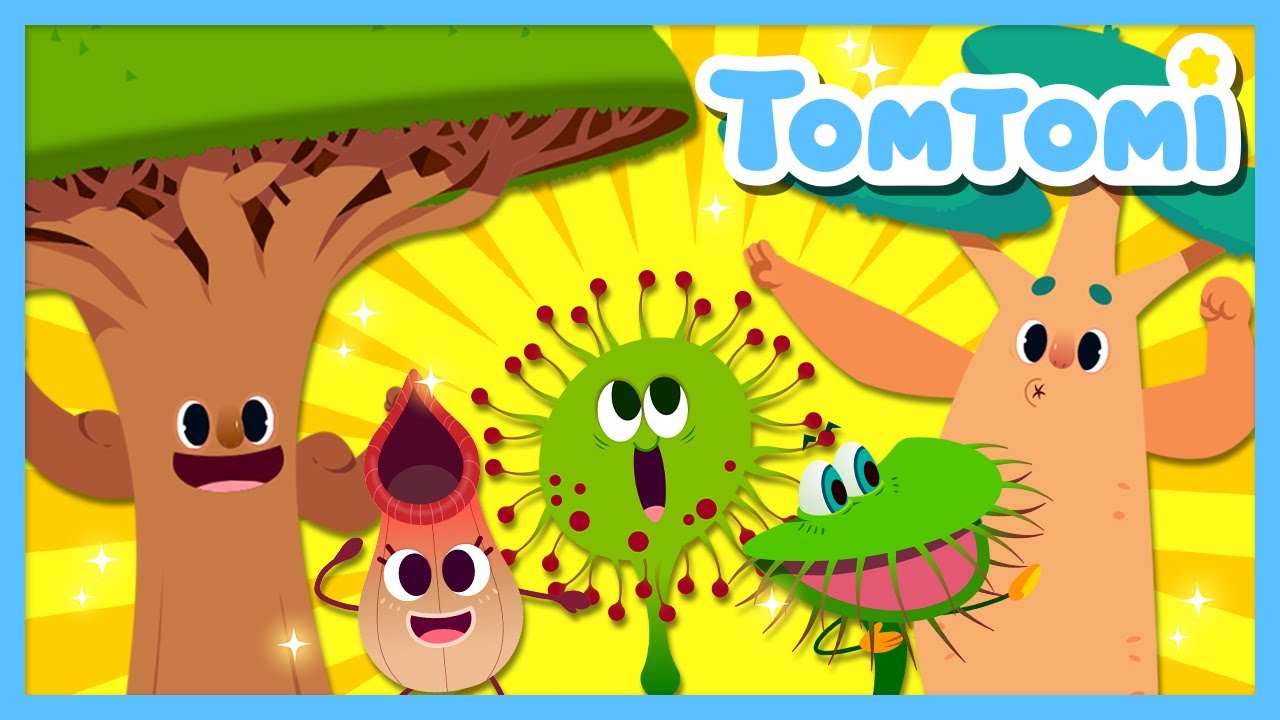 Tomtomi Insect Rangers Weird but Cool Plants and Insects😎 | Insects & Bugs | Kids Song ...