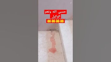 #حسبي_الله_ونعم_الوكيل #سورة الليل والتين والضحي والفاتحه #الشيخ محمد الليثى
